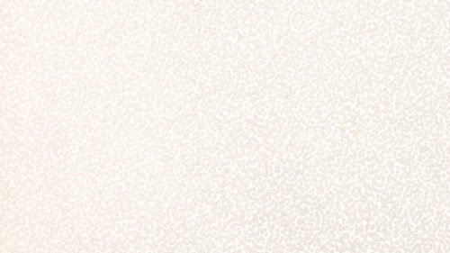 Tilla  Whitewash W397-01